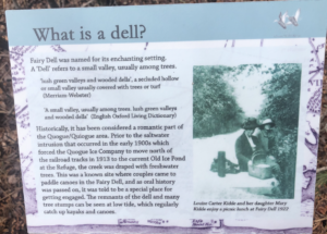 Info: What is a Dell?