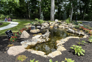 Koi Pond in Serenity Gardens