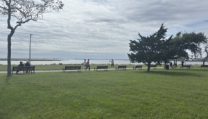 Many benches facing the water